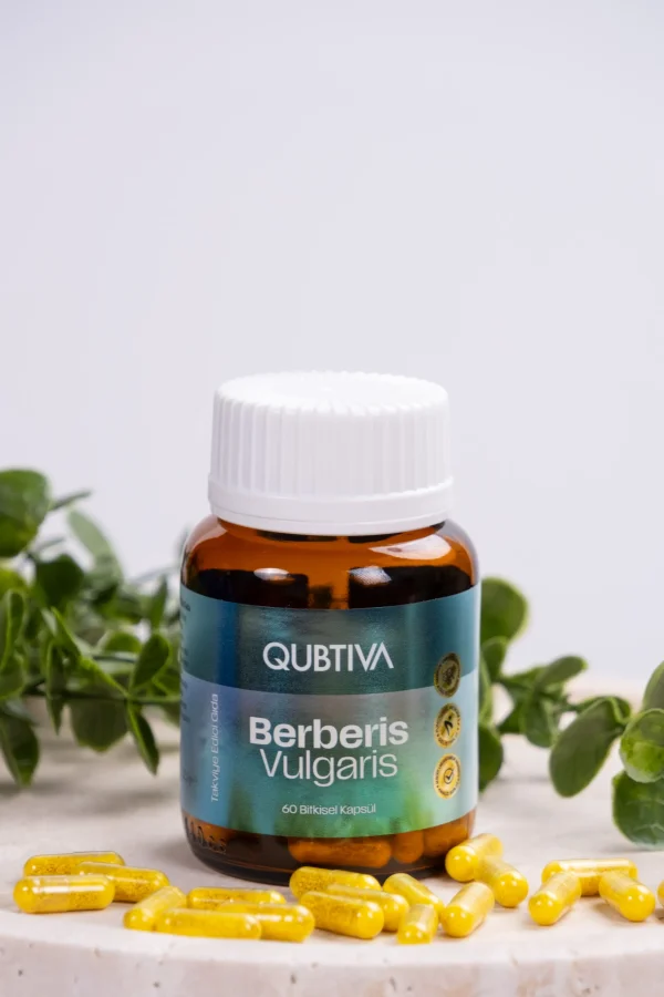 Berberis Vulgaris - Görsel 3