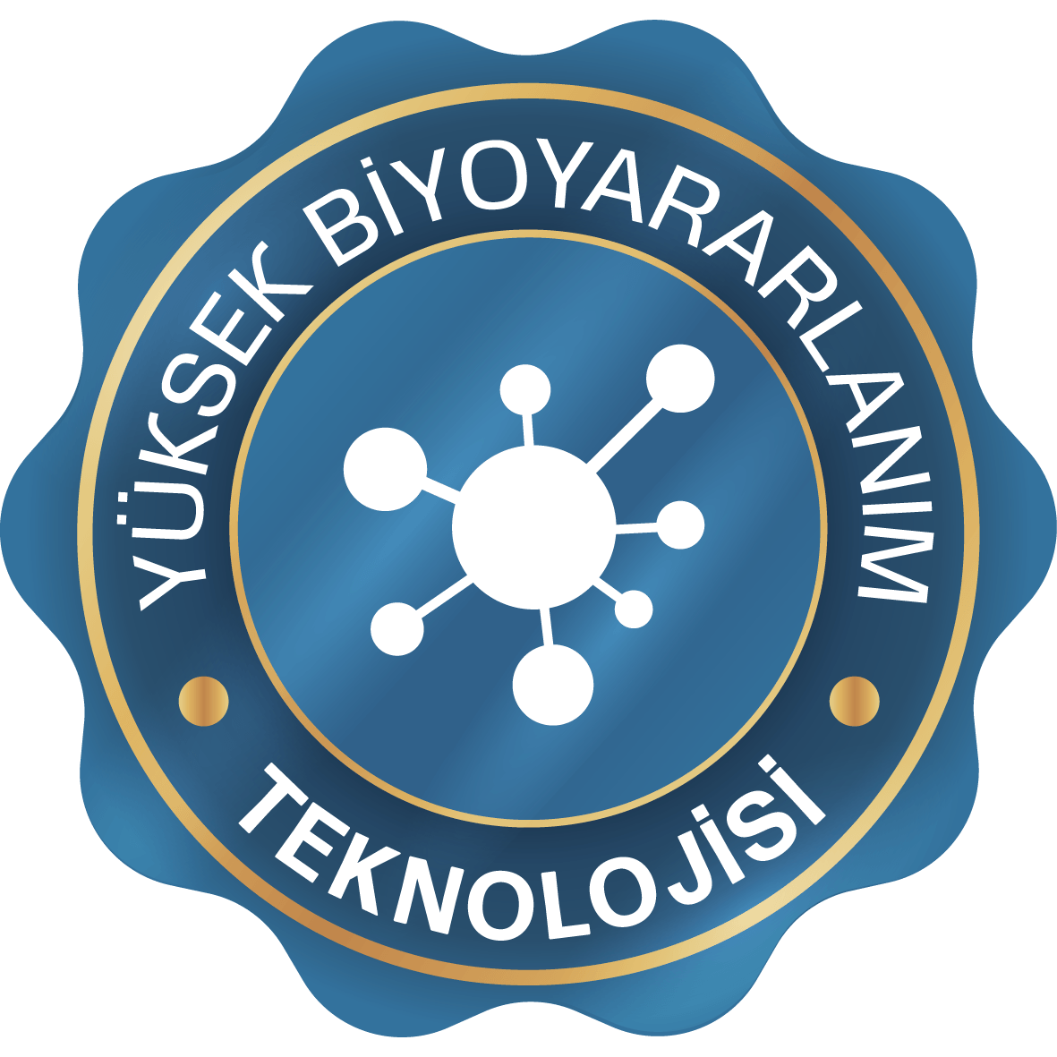 Yüksek Biyoyararlanim Teknolojisi